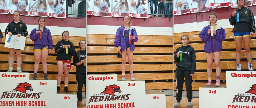 Three Angola wrestlers advance to girls Regional